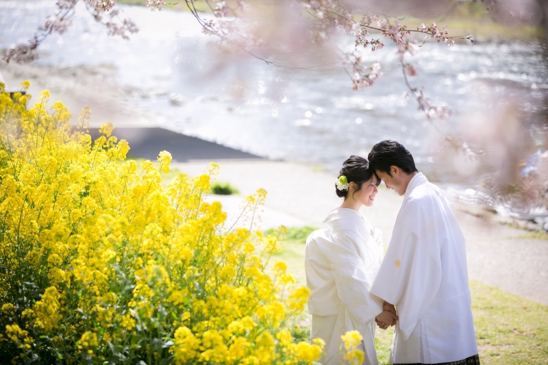 【桜限定ロケーションプラン】ひがし茶屋街と浅野川桜並木を廻るこの時期限定プランで人力車移動もセットされています