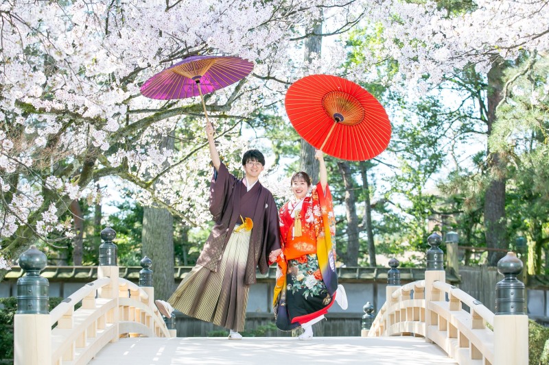 18 菊牡丹に鶴飛翔