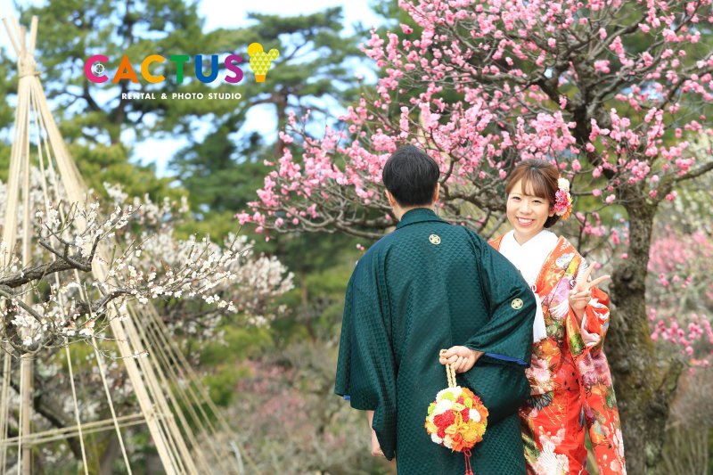 28 赤地桜に鶴飛翔