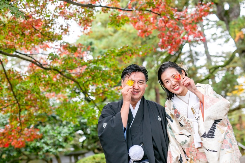 29 白地にピンク鶴飛翔