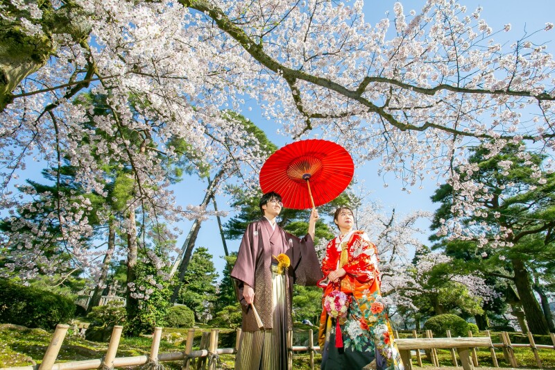18 菊牡丹に鶴飛翔