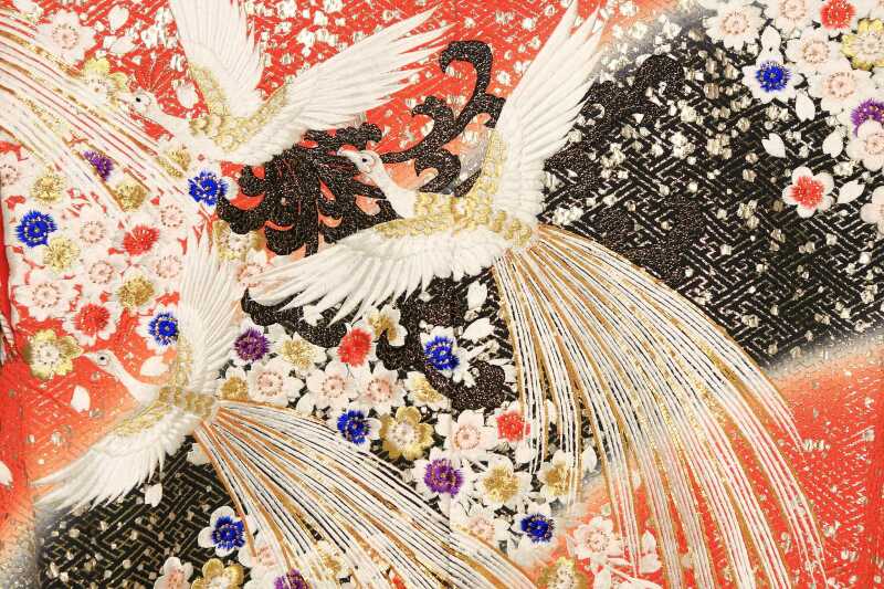 60 金鶏に桜