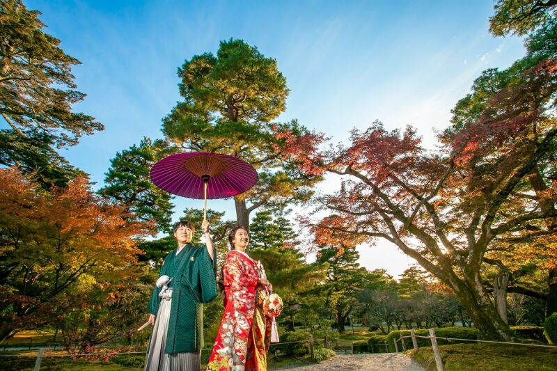 ５ 舞鶴四季花文　
