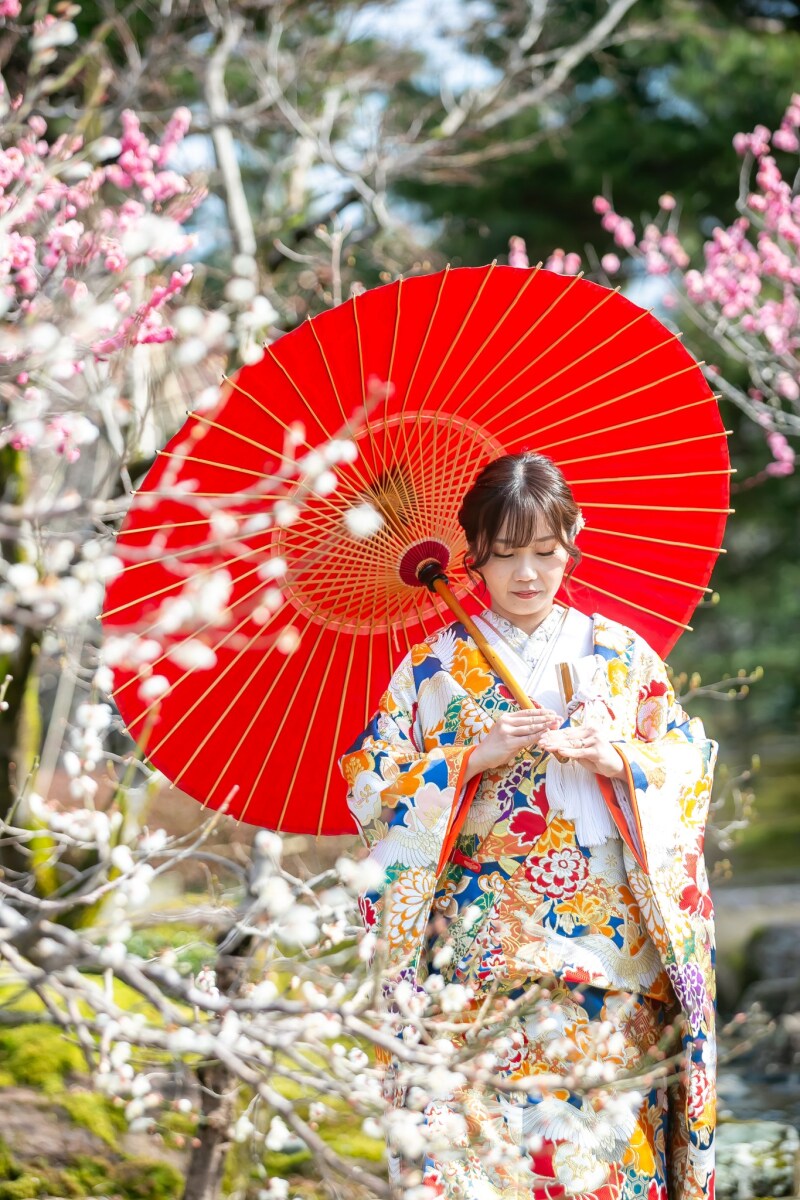 百花熨斗に鶴