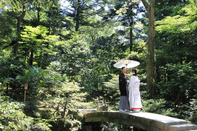 兼六園ロケーションフォト・6月