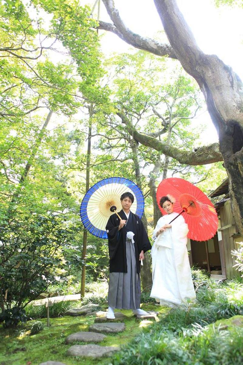 大きな木下で♪