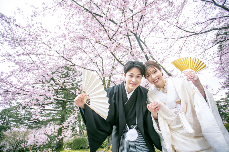 We are in cherry blossom