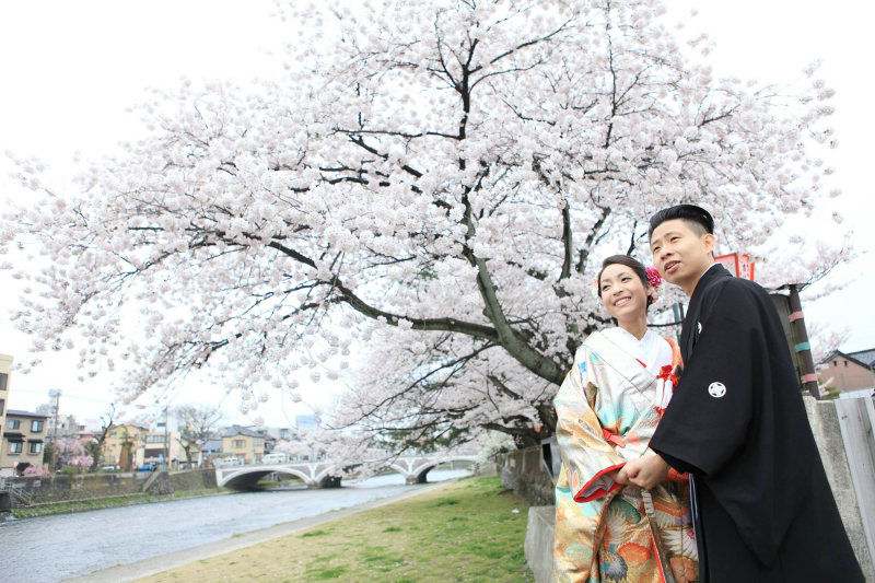 満開の桜の下で