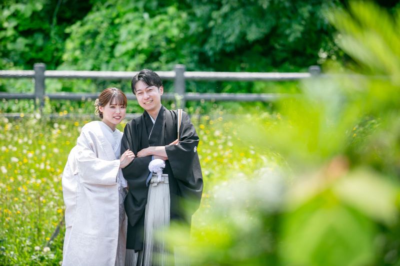 牧草地のような