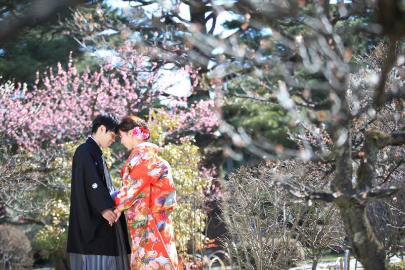 色打掛和装ロケーションフォト