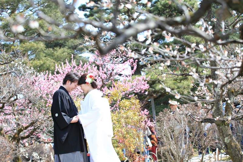 兼六園和装ロケーションフォト