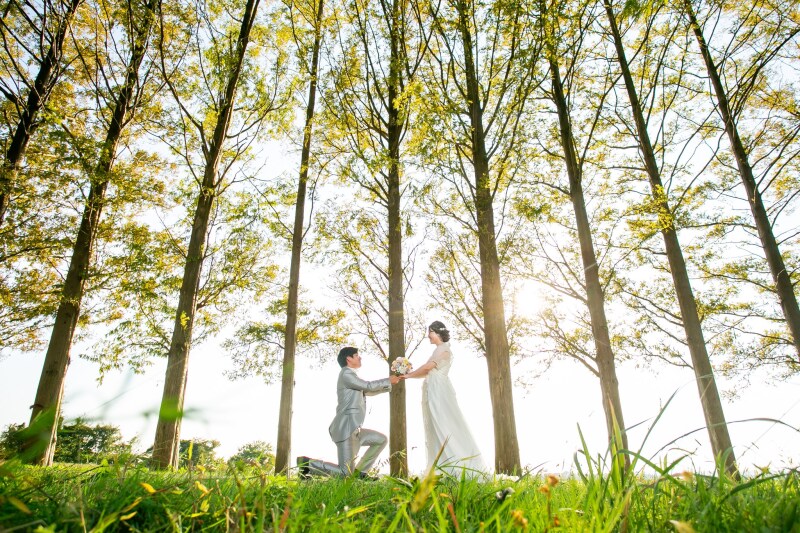 ロマンチックなプロポーズシーンを再現して