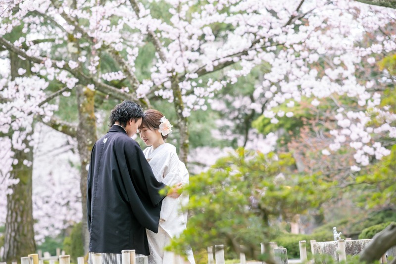 満開の桜の下で