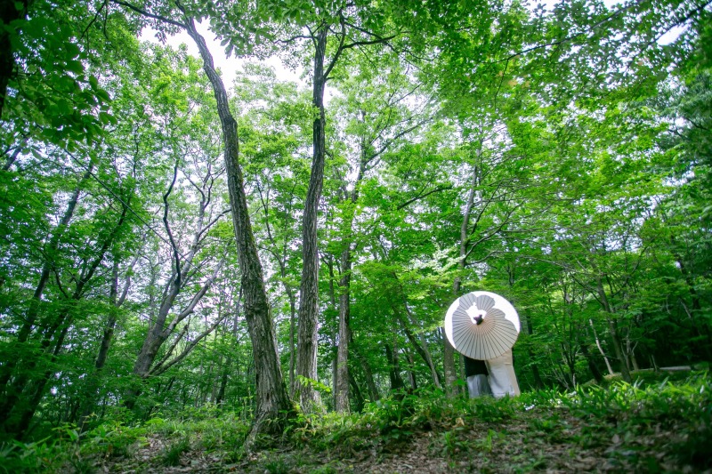 シルエット撮影