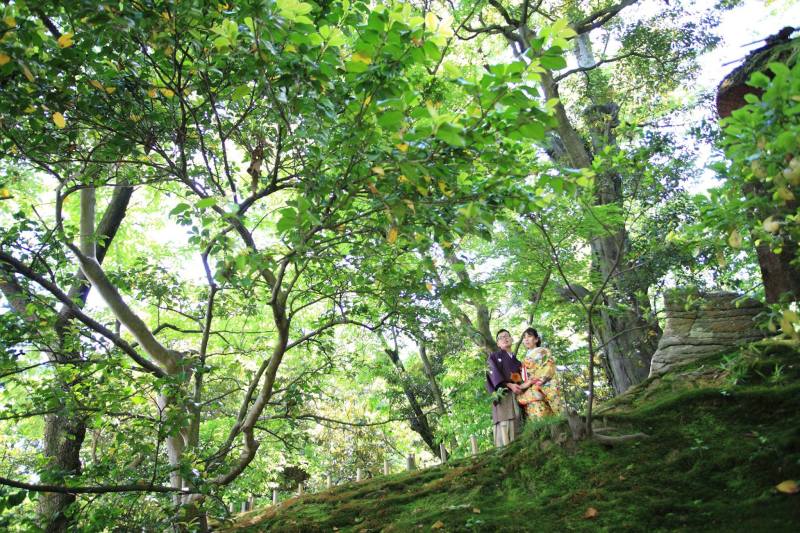 大きな木下で♪