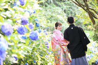 紫陽花和装ロケーションフォト
