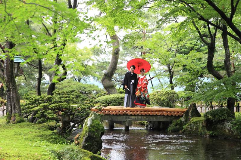 ジュラシックパークの様な