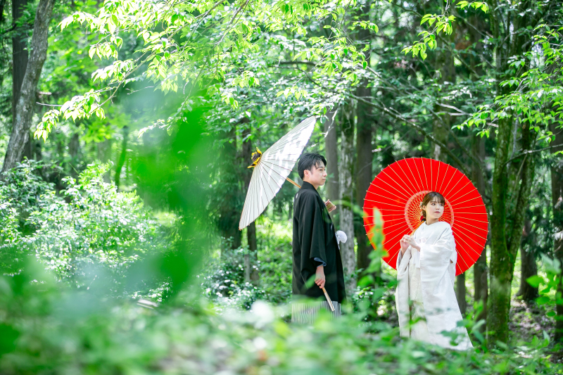 秘密の撮影スポット