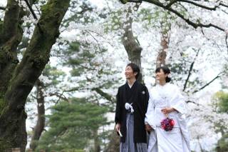 桜満開ロケーションフォト