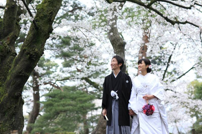 桜満開ロケーションフォト