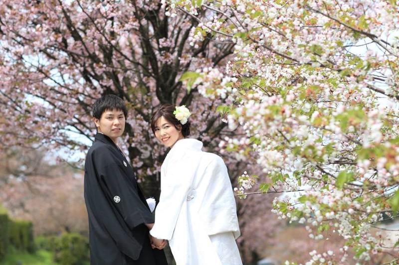 白無垢桜ロケーションフォト