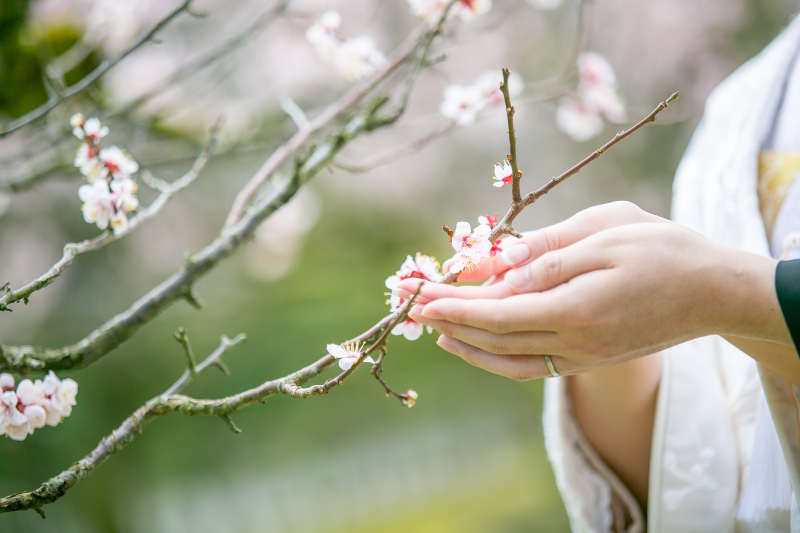 ここにしか咲かない花