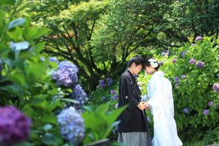 白無垢・紫陽花フォト♪