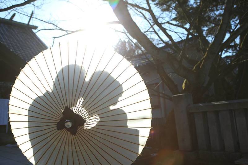 シルエットを映して