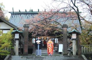 色打掛和装ロケーションフォト