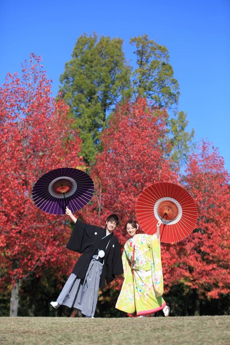 アメリカかえでを背景に