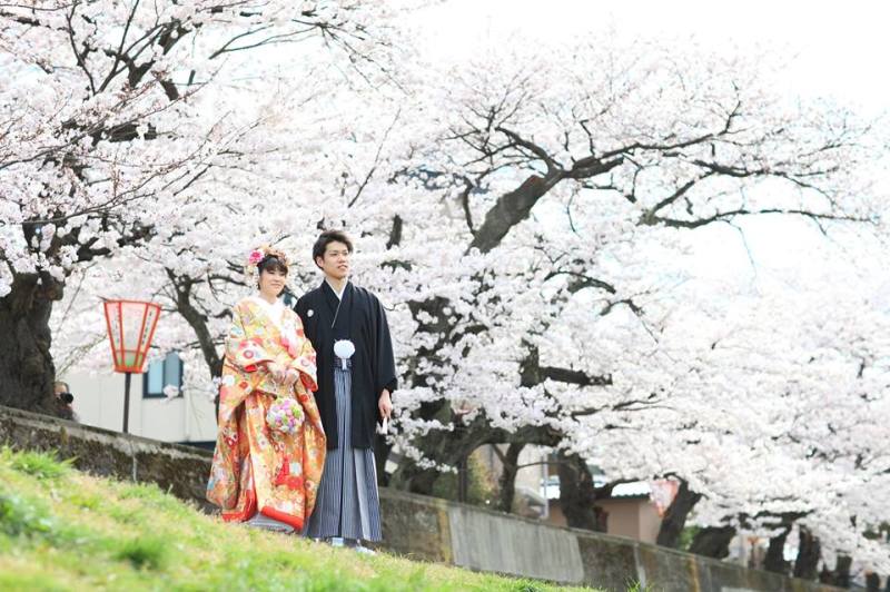 桜満開・ロケーションフォト