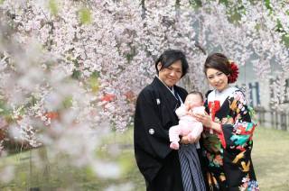 桜和装ロケーションフォト