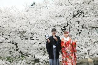 桜ロケーションフォト