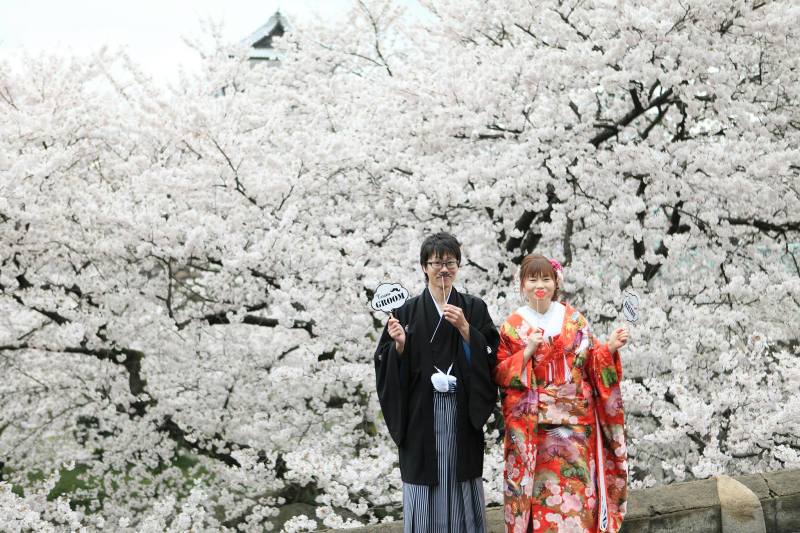 桜ロケーションフォト