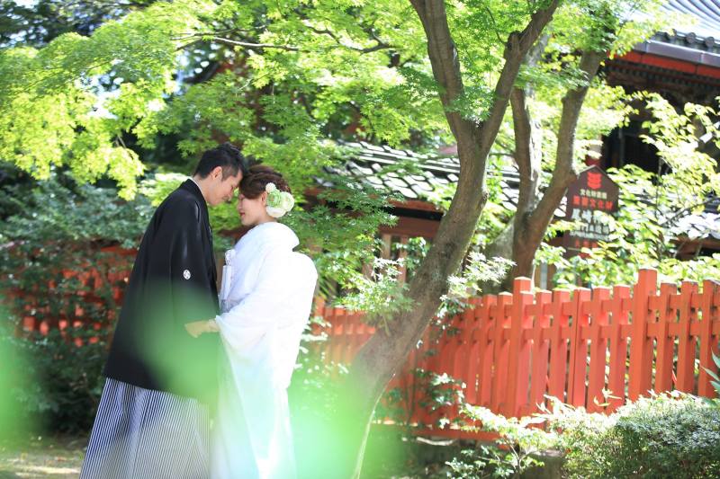 日差しの差し込む緑の中で