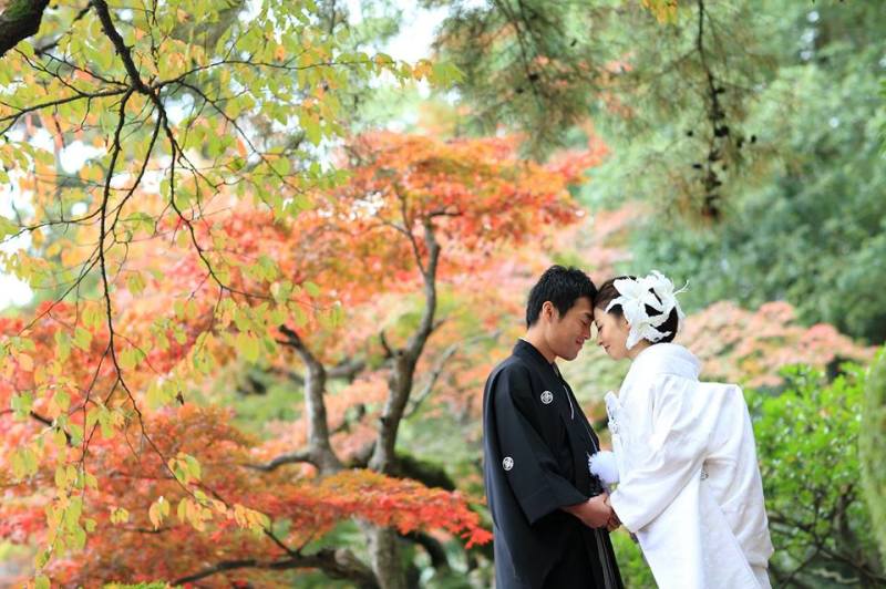 兼六園にて・紅葉ロケーションフォト