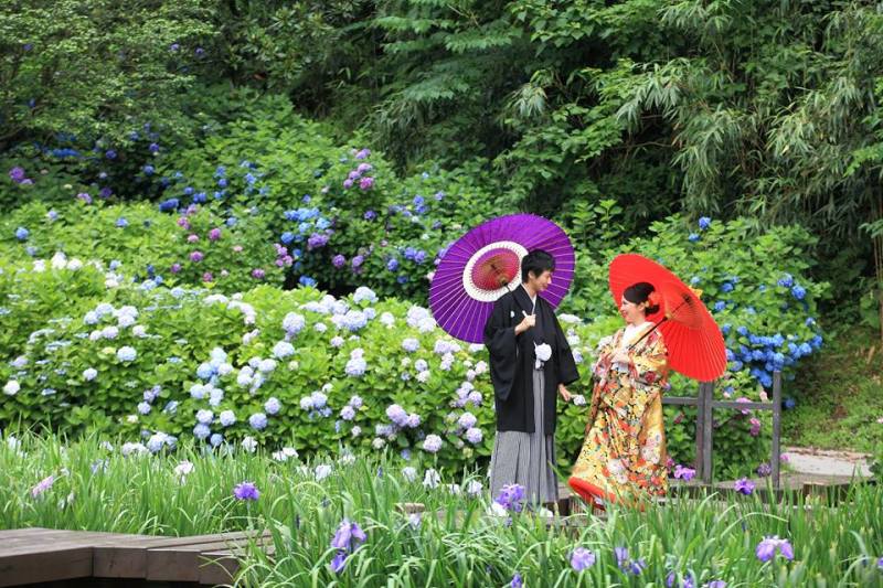 夏のお散歩コース♪