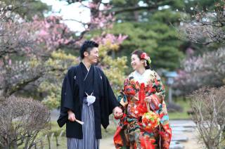 梅林ロケーションフォト