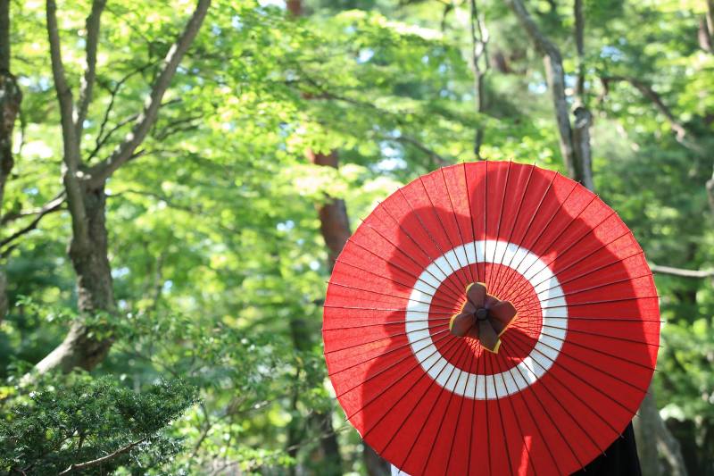 シルエット撮影