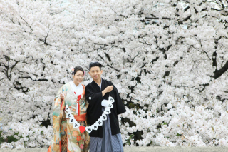 桜・和装ロケーションフォトプラン