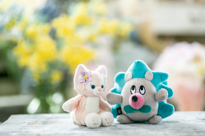 大好きなキャラクターと一緒に