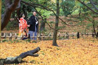 続・紅葉ロケーションフォト