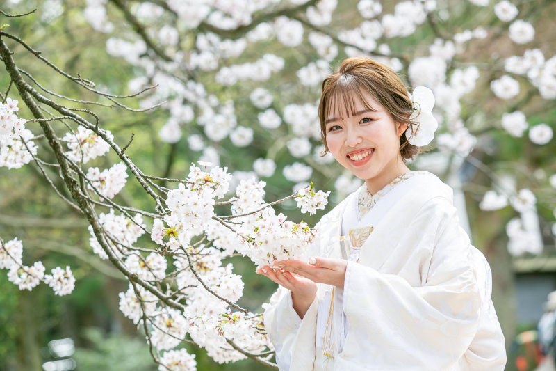 ふんわりとした桜を手に