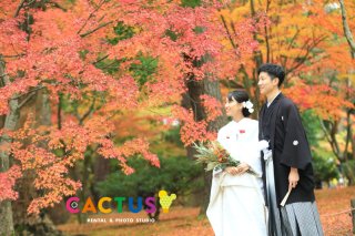 兼六園・紅葉ロケーションフォト