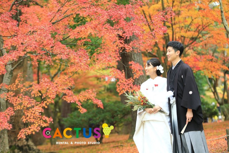 兼六園・紅葉ロケーションフォト