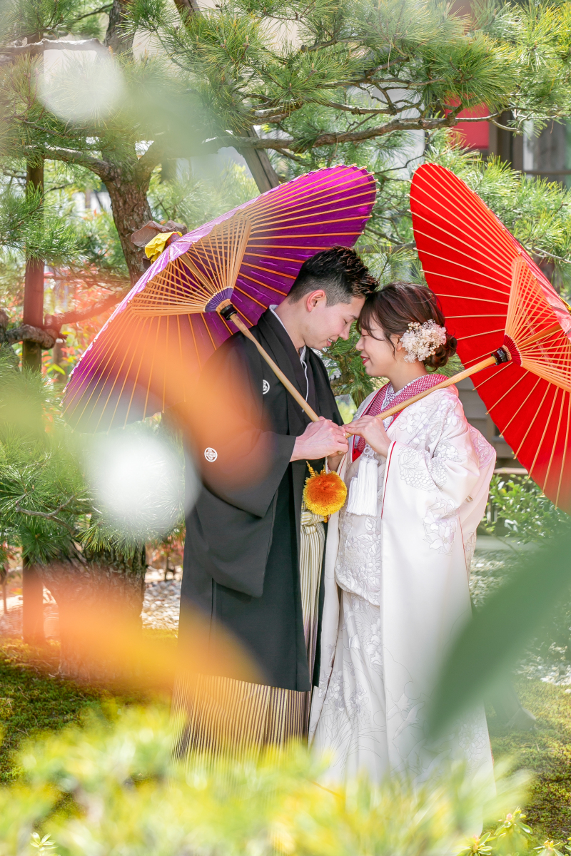 樹木煌めく庭園内