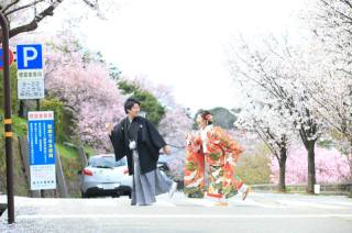 兼六園和装ロケーションフォト・桜