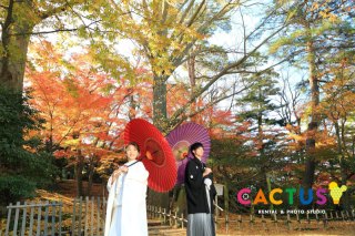 金沢市内紅葉ロケーションフォト