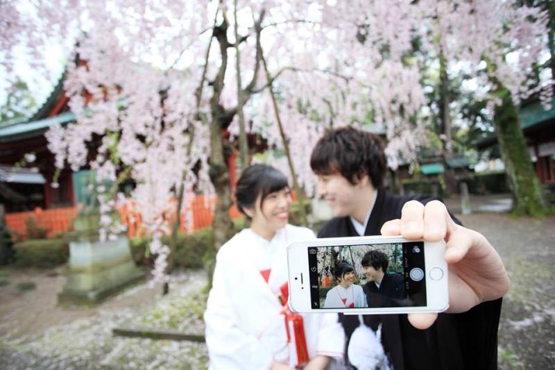 しだれ桜をバックに