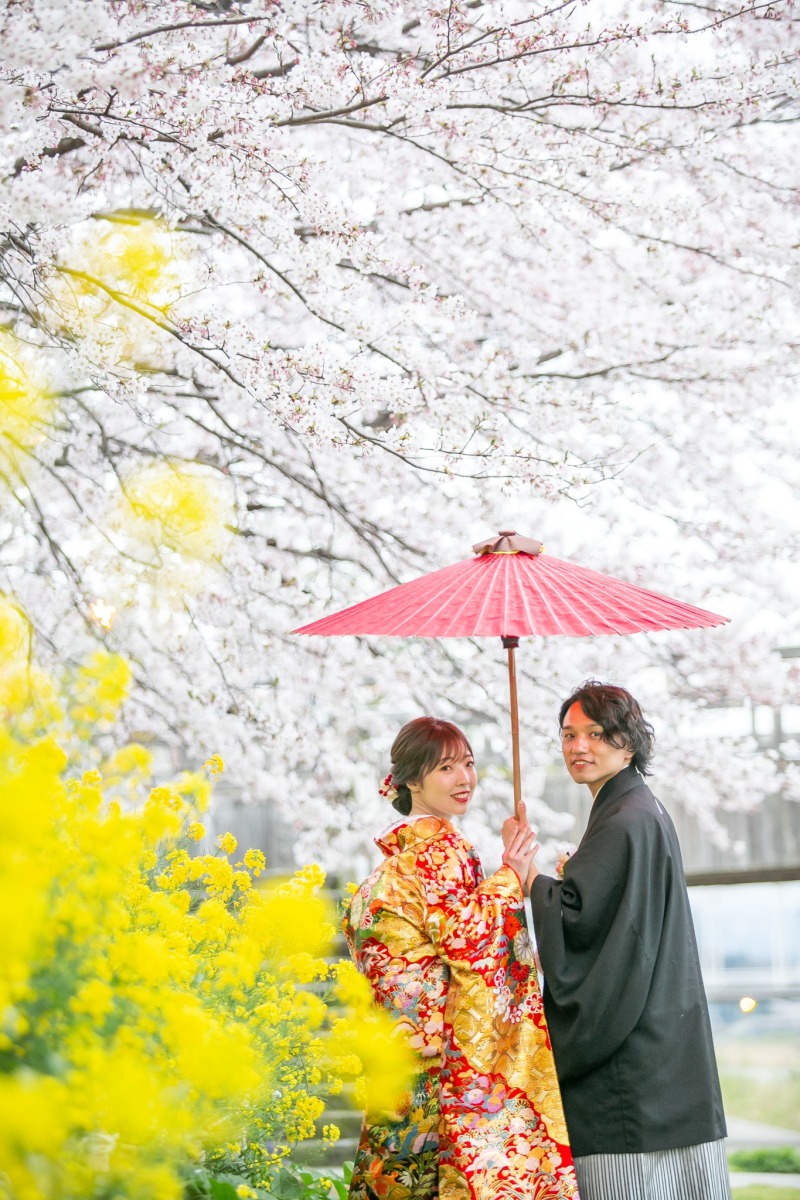 満開の桜と菜の花を背景に